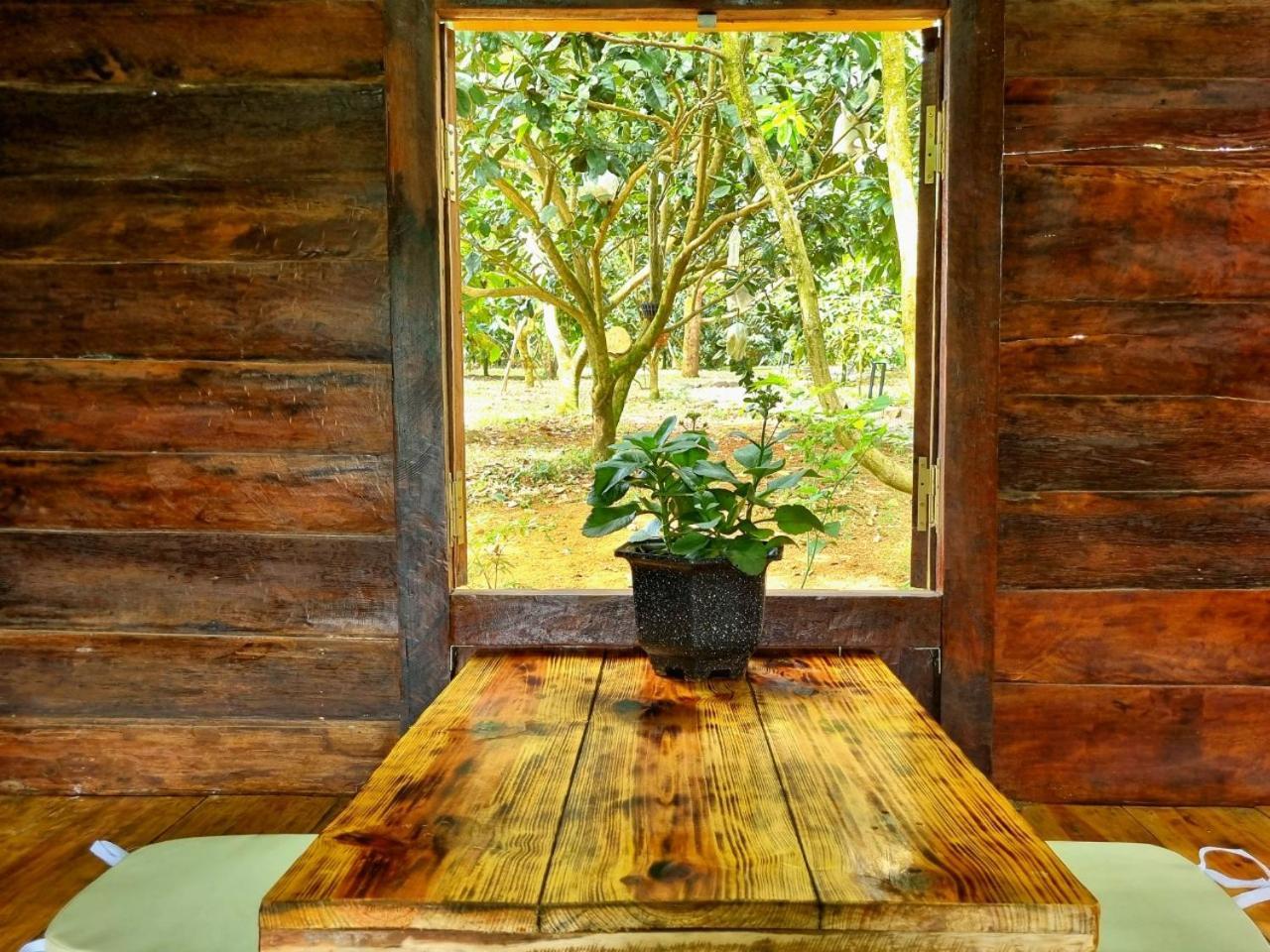 Homestay Vuon Trai Cay Nhiet Doi Vo Uu Garden Bảo Lộc Exterior foto
