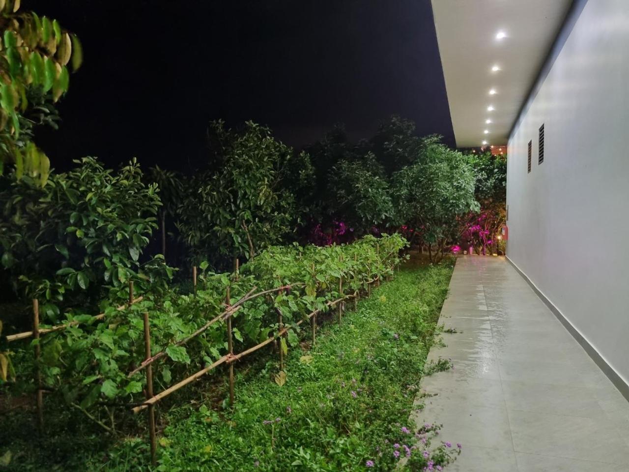 Homestay Vuon Trai Cay Nhiet Doi Vo Uu Garden Bảo Lộc Exterior foto