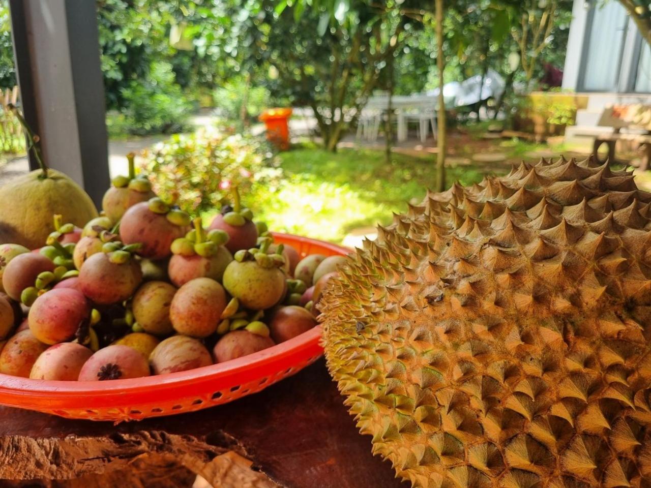 Homestay Vuon Trai Cay Nhiet Doi Vo Uu Garden Bảo Lộc Exterior foto