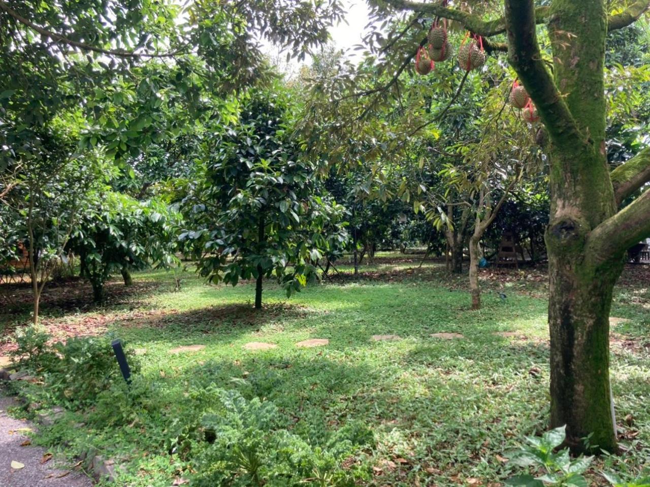Homestay Vuon Trai Cay Nhiet Doi Vo Uu Garden Bảo Lộc Exterior foto
