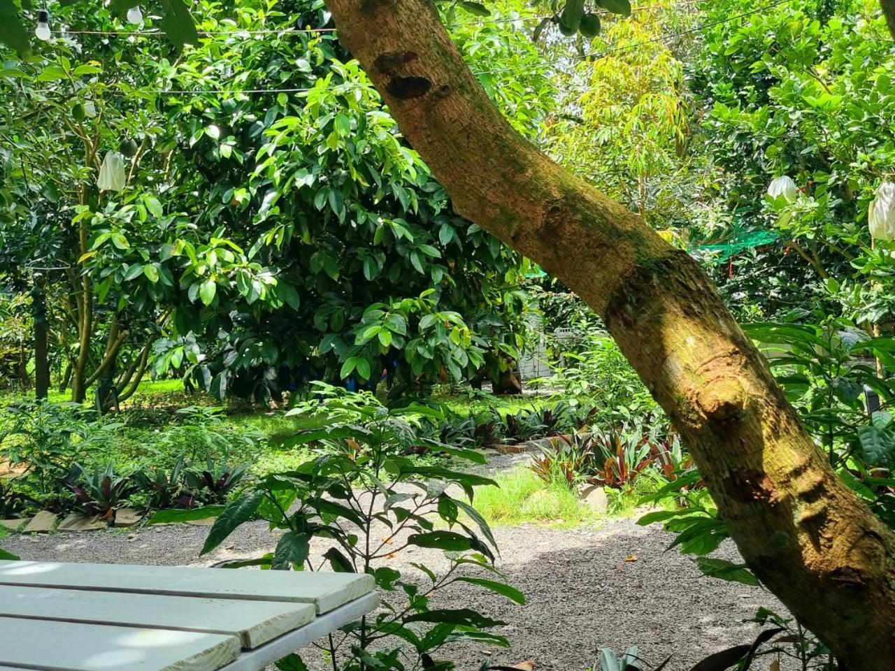 Homestay Vuon Trai Cay Nhiet Doi Vo Uu Garden Bảo Lộc Exterior foto