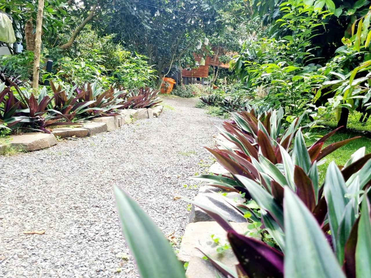 Homestay Vuon Trai Cay Nhiet Doi Vo Uu Garden Bảo Lộc Exterior foto