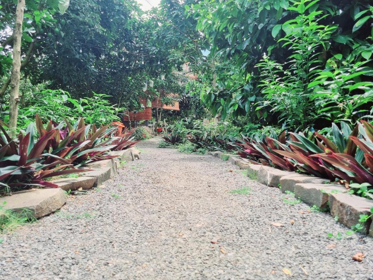 Homestay Vuon Trai Cay Nhiet Doi Vo Uu Garden Bảo Lộc Exterior foto