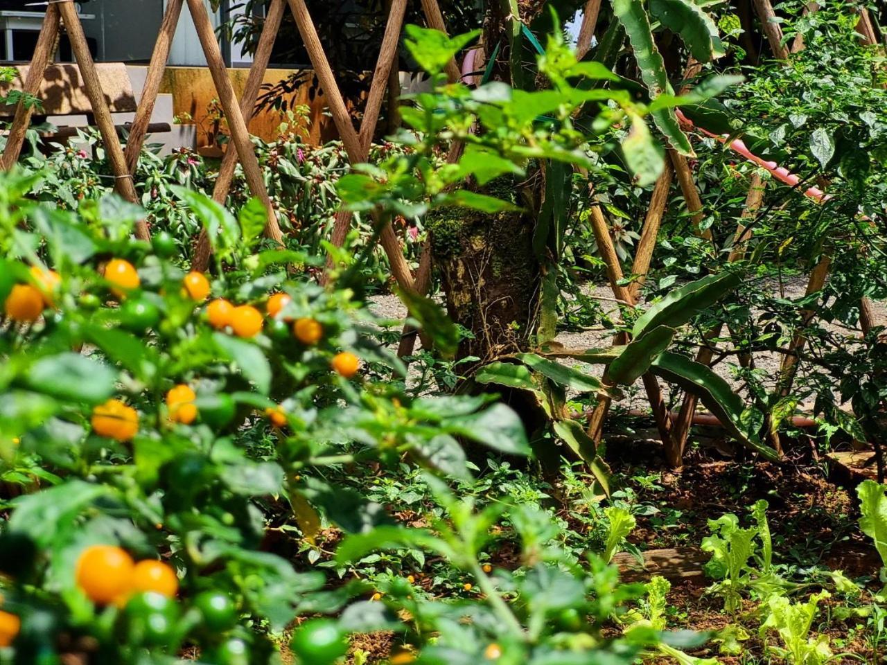 Homestay Vuon Trai Cay Nhiet Doi Vo Uu Garden Bảo Lộc Exterior foto