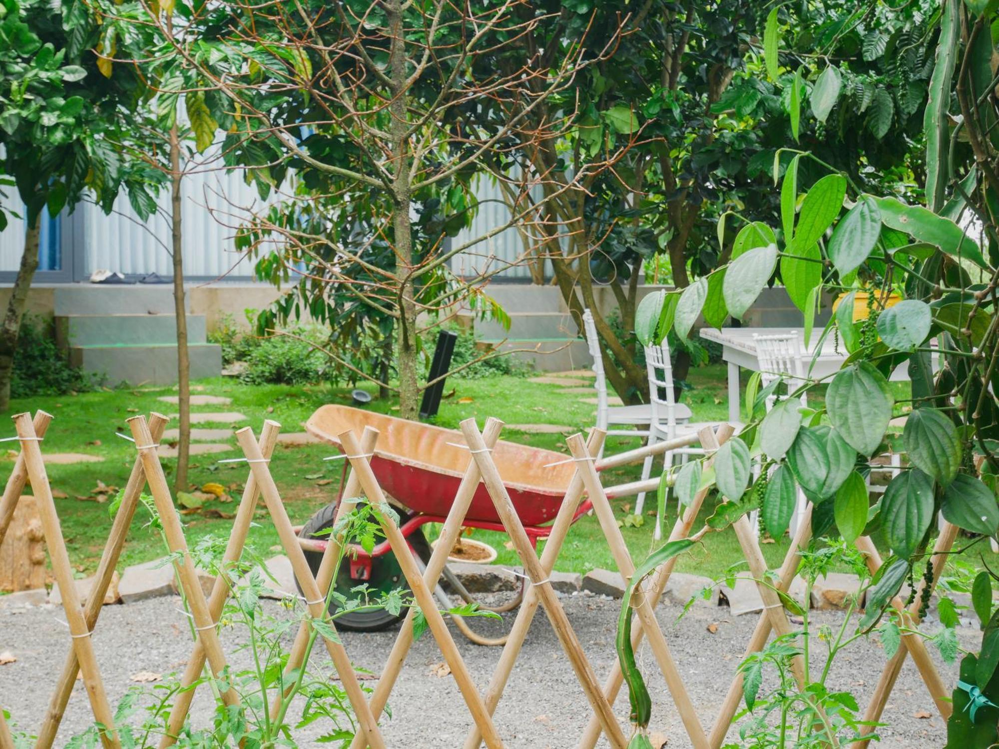 Homestay Vuon Trai Cay Nhiet Doi Vo Uu Garden Bảo Lộc Exterior foto